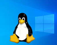Linux захватывает Германию. Гамбург откажется от Windows и MS Office