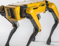 Boston Dynamics открыла продажи четвероногого робота Spot